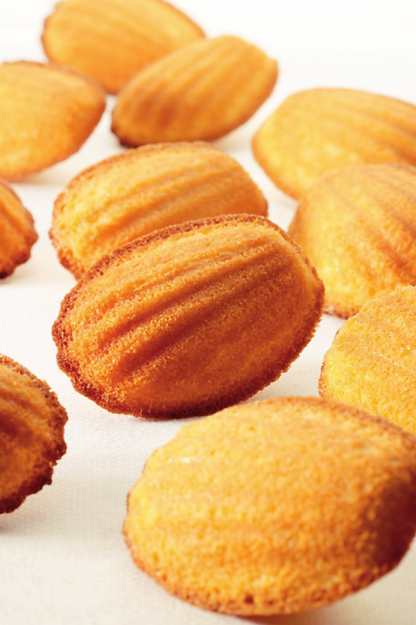 Madeleine (Aanbieding)